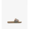 Check-Slides