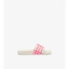 Check-Slides