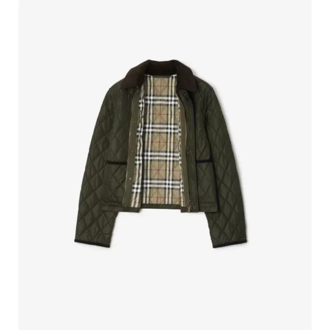 Kurze, gesteppte Nylonjacke