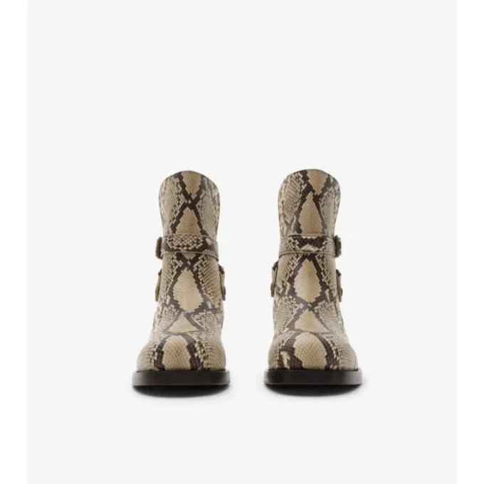 Ledger-Stiefel mit Python-Print