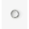 Ring mit Schildsegment