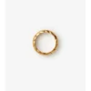 Ring mit Schildsegment