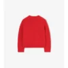 Strassbesetzter EKD-Pullover
