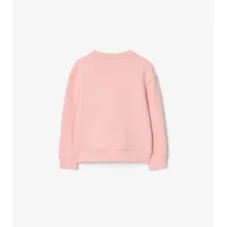 Thomas-Bär-und-Freunde-Baumwoll-Sweatshirt